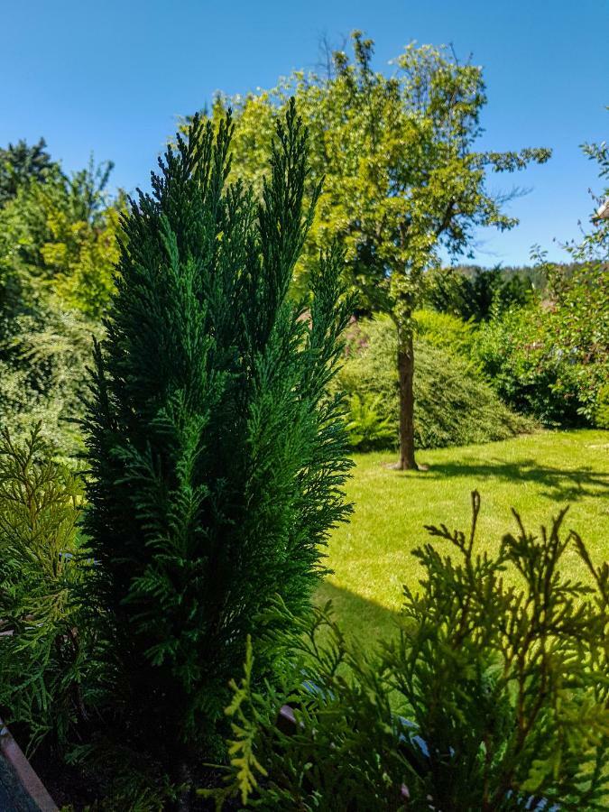 Ferienwohnung Naturnah Goslar Exteriör bild